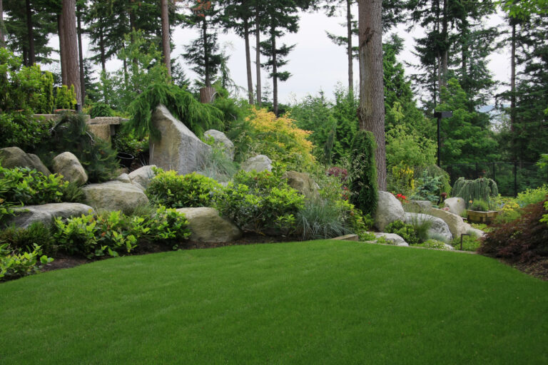 Beautiful garden in summer.