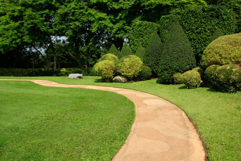 path in the garden