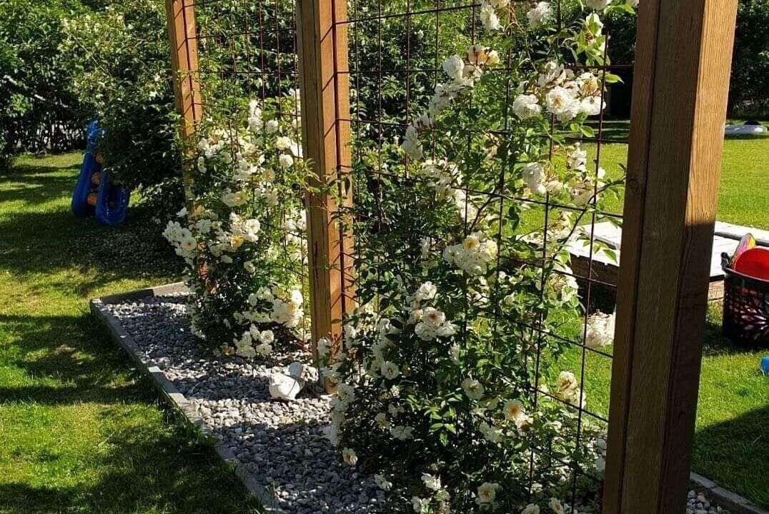 Aanplantingen